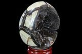 Septarian Dragon Egg Geode - Black Crystals #88330-1